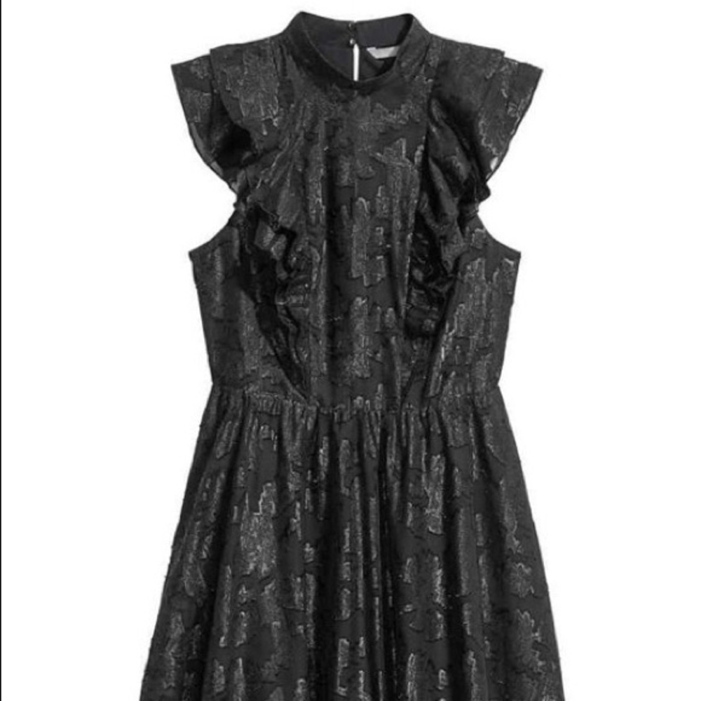 H&M Jacquard weave dress—tags still on!